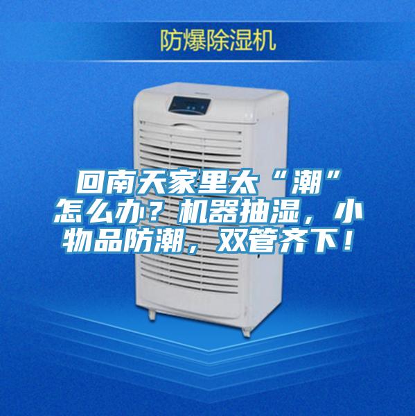 回南天家里太“潮”怎么辦？機(jī)器抽濕，小物品防潮，雙管齊下！