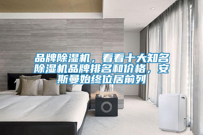 品牌除濕機(jī)，看看十大知名除濕機(jī)品牌排名和價(jià)格，安斯曼始終位居前列