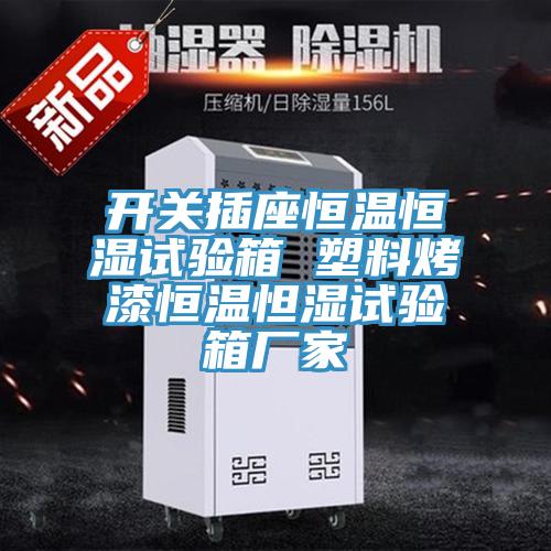 開關(guān)插座恒溫恒濕試驗箱 塑料烤漆恒溫怛濕試驗箱廠家