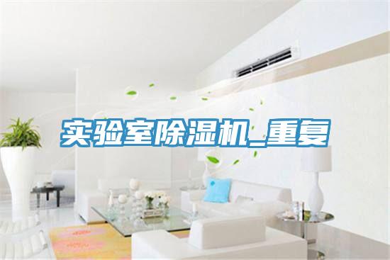 實驗室除濕機_重復(fù)