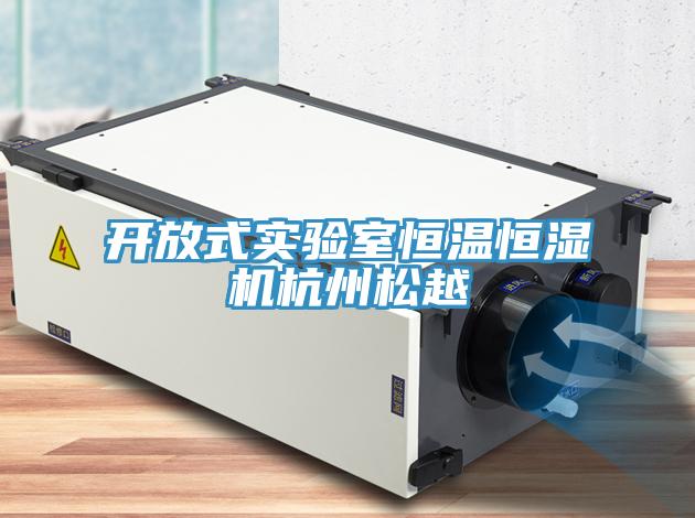 開放式實驗室恒溫恒濕機杭州松越