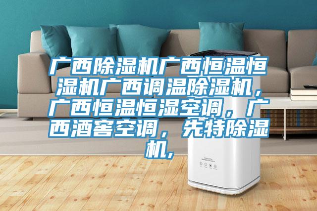 廣西除濕機(jī)廣西恒溫恒濕機(jī)廣西調(diào)溫除濕機(jī)，廣西恒溫恒濕空調(diào)，廣西酒窖空調(diào)，先特除濕機(jī),