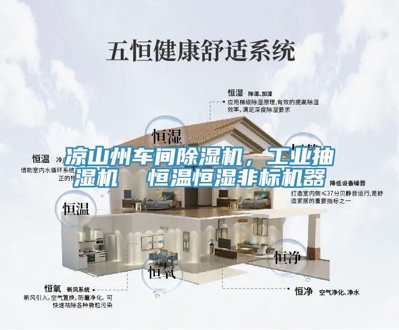 涼山州車間除濕機，工業(yè)抽濕機  恒溫恒濕非標機器