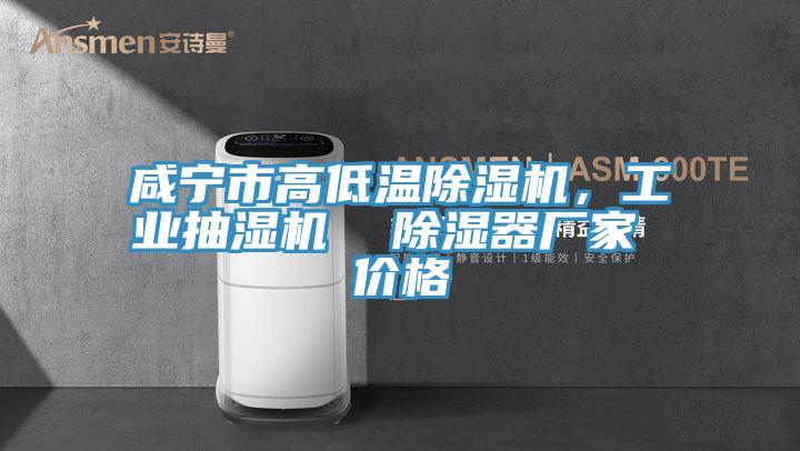 咸寧市高低溫除濕機(jī)，工業(yè)抽濕機(jī)  除濕器廠家 價(jià)格