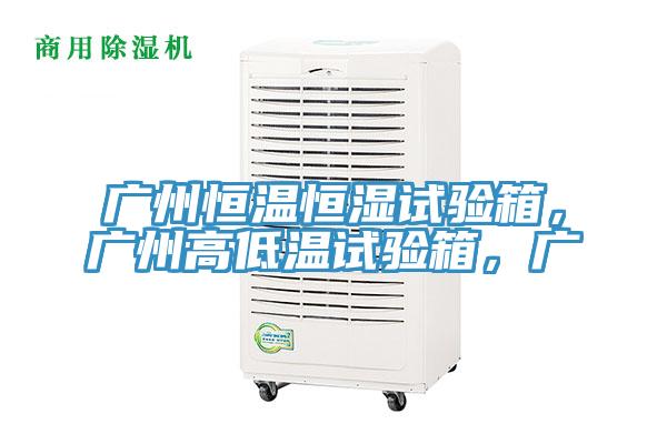 廣州恒溫恒濕試驗(yàn)箱，廣州高低溫試驗(yàn)箱，廣