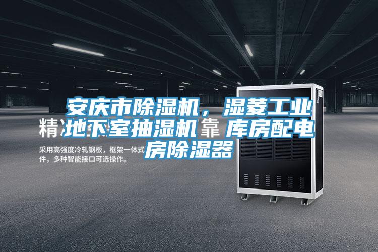 安慶市除濕機(jī)，濕菱工業(yè)地下室抽濕機(jī)  庫房配電房除濕器