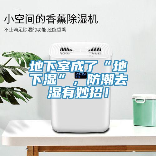 地下室成了“地下濕”，防潮去濕有妙招！