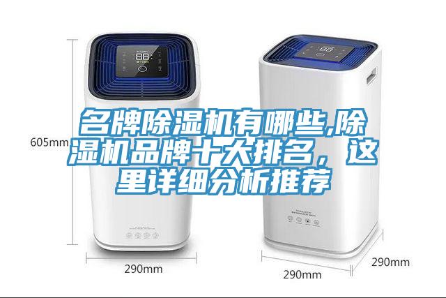 名牌除濕機(jī)有哪些,除濕機(jī)品牌十大排名，這里詳細(xì)分析推薦