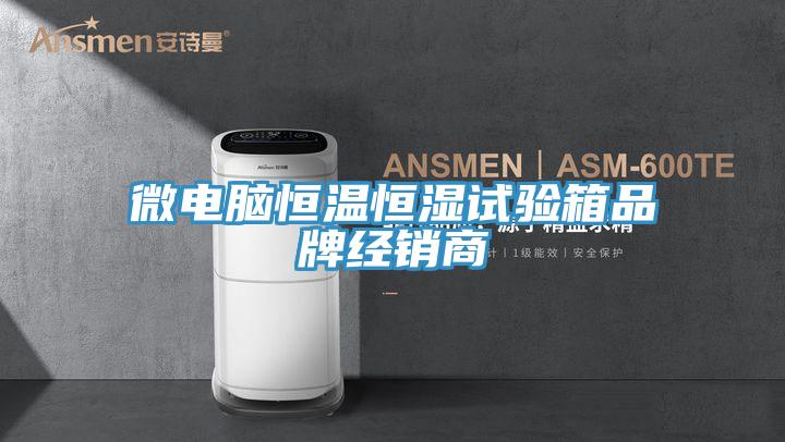 微電腦恒溫恒濕試驗箱品牌經(jīng)銷商