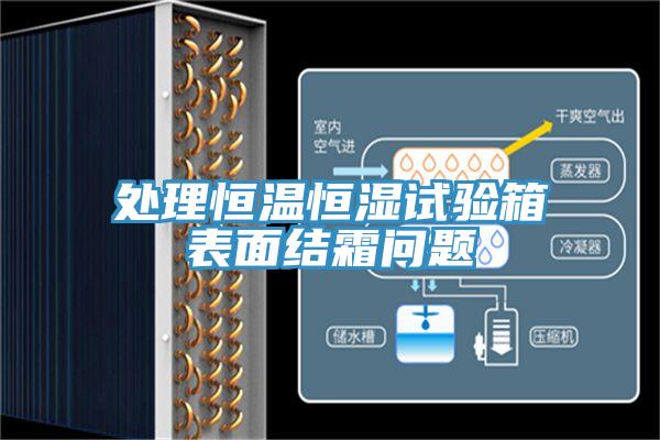處理恒溫恒濕試驗箱表面結(jié)霜問題