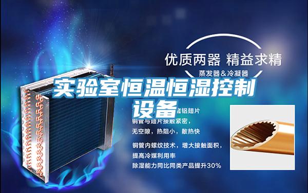 實(shí)驗(yàn)室恒溫恒濕控制設(shè)備
