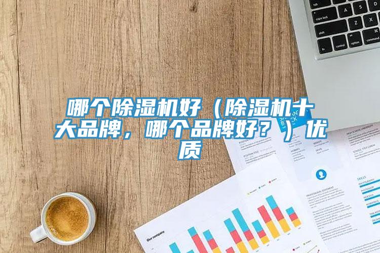 哪個除濕機好（除濕機十大品牌，哪個品牌好？）優(yōu)質(zhì)