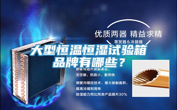 大型恒溫恒濕試驗箱品牌有哪些？