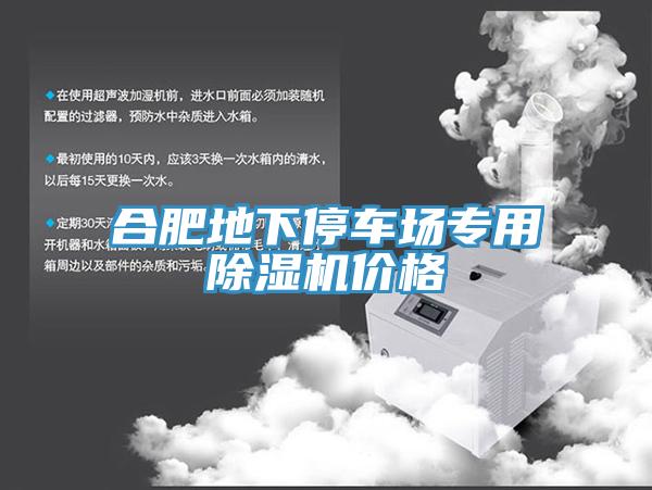 合肥地下停車(chē)場(chǎng)專(zhuān)用除濕機(jī)價(jià)格