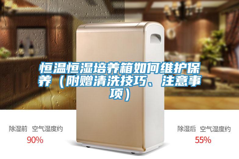 恒溫恒濕培養(yǎng)箱如何維護(hù)保養(yǎng)（附贈清洗技巧、注意事項(xiàng)）