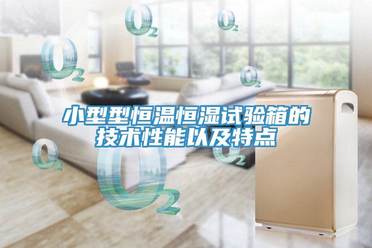 小型型恒溫恒濕試驗箱的技術(shù)性能以及特點