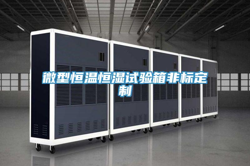 微型恒溫恒濕試驗箱非標(biāo)定制
