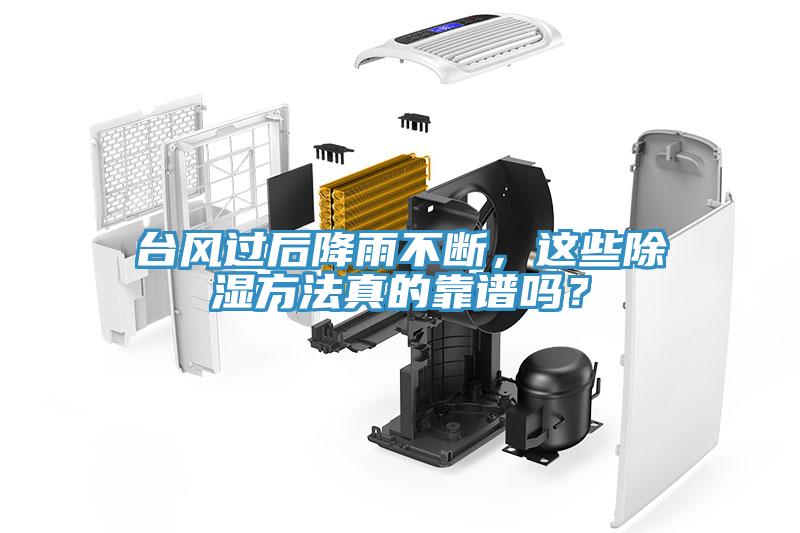 臺風過后降雨不斷，這些除濕方法真的靠譜嗎？