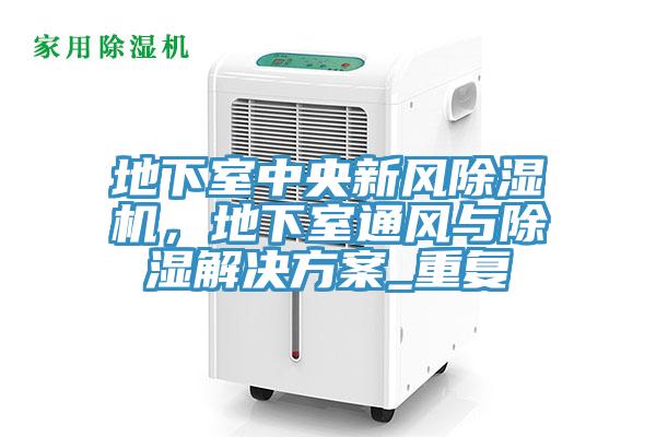 地下室中央新風(fēng)除濕機(jī)，地下室通風(fēng)與除濕解決方案_重復(fù)