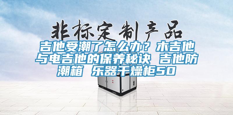 吉他受潮了怎么辦？木吉他與電吉他的保養(yǎng)秘訣 吉他防潮箱 樂(lè)器干燥柜50