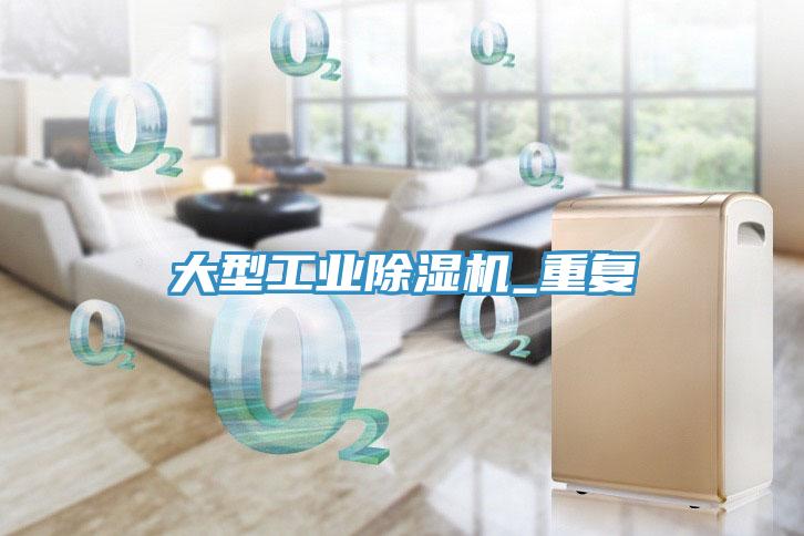 大型工業(yè)除濕機_重復(fù)