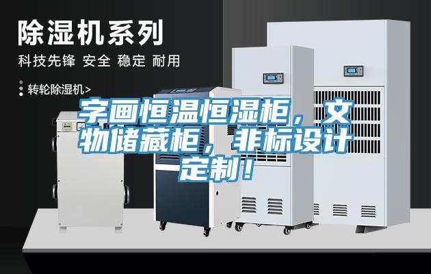 字畫恒溫恒濕柜，文物儲(chǔ)藏柜，非標(biāo)設(shè)計(jì)定制！
