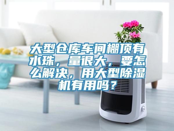 大型倉庫車間棚頂有水珠，量很大，要怎么解決，用大型除濕機有用嗎？