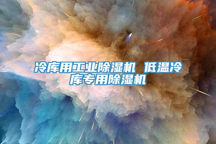 冷庫(kù)用工業(yè)除濕機(jī) 低溫冷庫(kù)專用除濕機(jī)