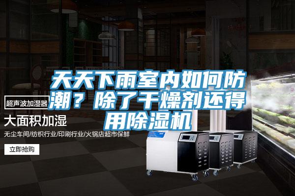 天天下雨室內(nèi)如何防潮？除了干燥劑還得用除濕機