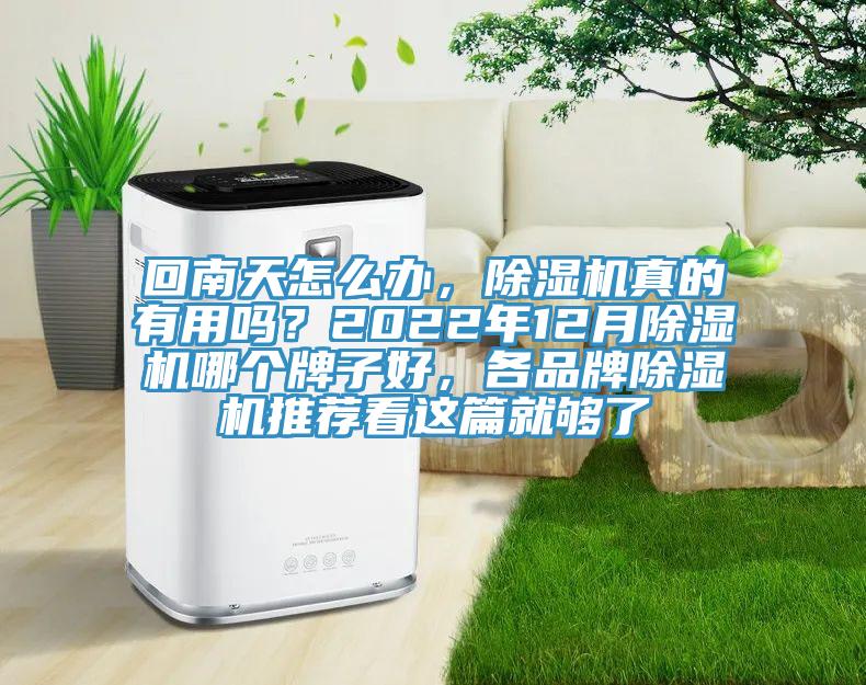 回南天怎么辦，除濕機(jī)真的有用嗎？2022年12月除濕機(jī)哪個(gè)牌子好，各品牌除濕機(jī)推薦看這篇就夠了