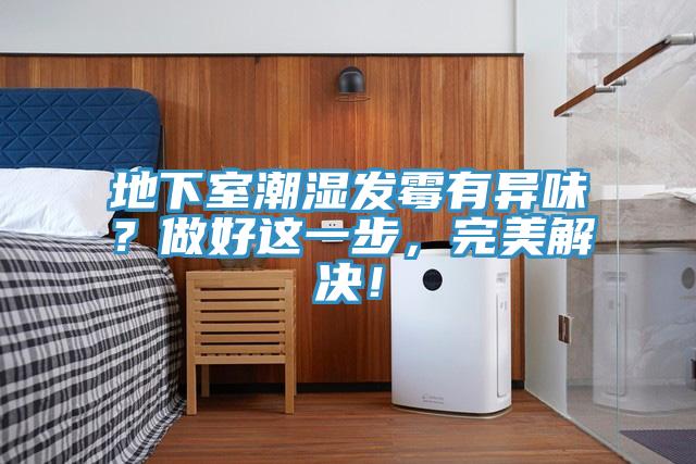 地下室潮濕發(fā)霉有異味？做好這一步，完美解決！