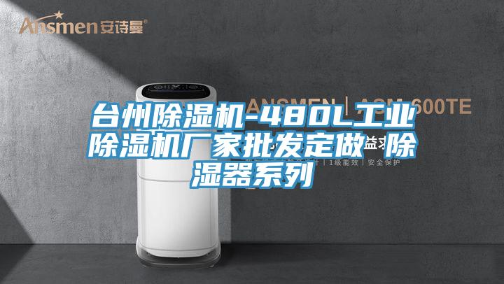 臺州除濕機-480L工業(yè)除濕機廠家批發(fā)定做 除濕器系列