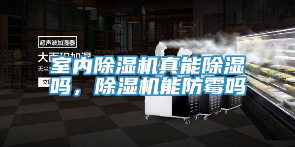 室內(nèi)除濕機(jī)真能除濕嗎，除濕機(jī)能防霉嗎