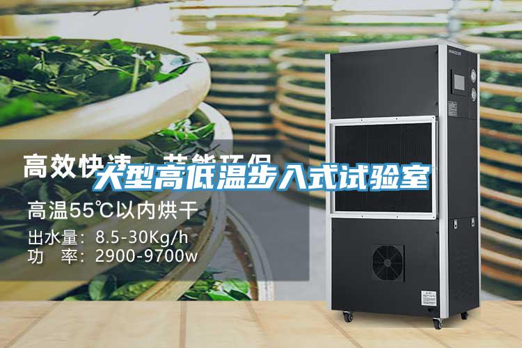大型高低溫步入式試驗(yàn)室