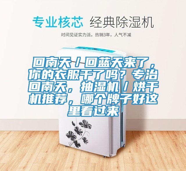 回南天／回藍(lán)天來(lái)了，你的衣服干了嗎？專治回南天，抽濕機(jī)／烘干機(jī)推薦，哪個(gè)牌子好這里看過(guò)來(lái)
