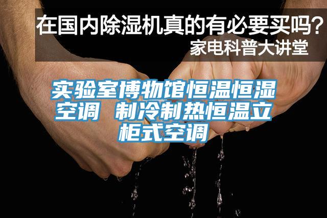 實驗室博物館恒溫恒濕空調(diào) 制冷制熱恒溫立柜式空調(diào)