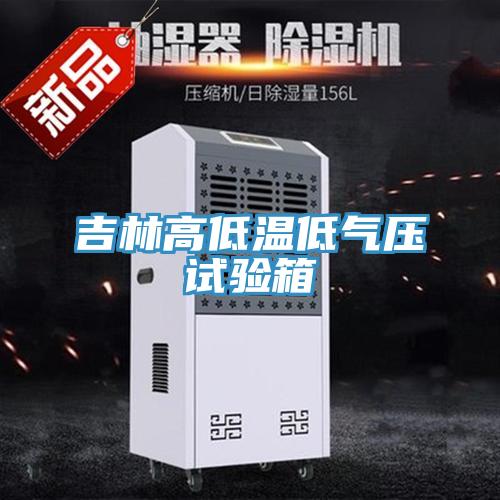 吉林高低溫低氣壓試驗(yàn)箱