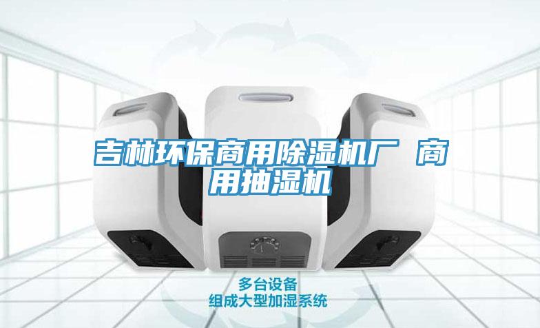 吉林環(huán)保商用除濕機(jī)廠 商用抽濕機(jī)