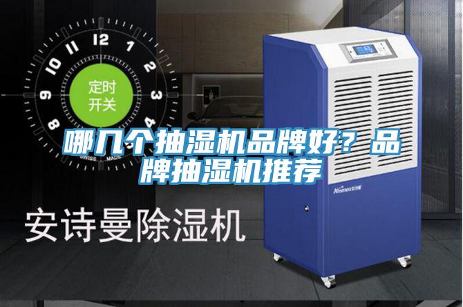 哪幾個抽濕機品牌好？品牌抽濕機推薦