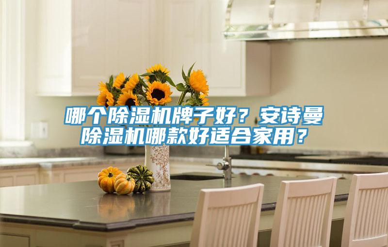 哪個除濕機牌子好？安詩曼除濕機哪款好適合家用？