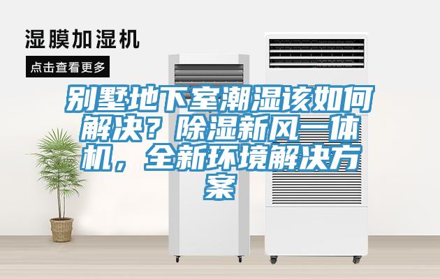 別墅地下室潮濕該如何解決？除濕新風(fēng)一體機，全新環(huán)境解決方案