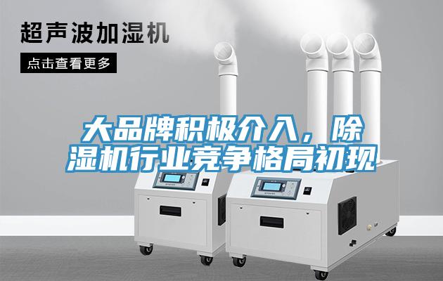 大品牌積極介入，除濕機(jī)行業(yè)競爭格局初現(xiàn)