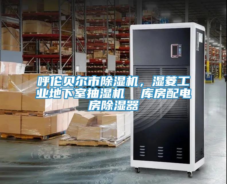 呼倫貝爾市除濕機(jī)，濕菱工業(yè)地下室抽濕機(jī)  庫房配電房除濕器