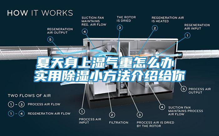 夏天身上濕氣重怎么辦 實用除濕小方法介紹給你