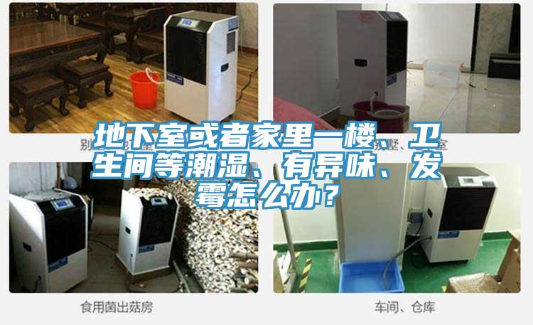 地下室或者家里一樓、衛(wèi)生間等潮濕、有異味、發(fā)霉怎么辦？
