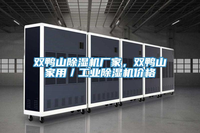 雙鴨山除濕機廠家，雙鴨山家用／工業(yè)除濕機價格