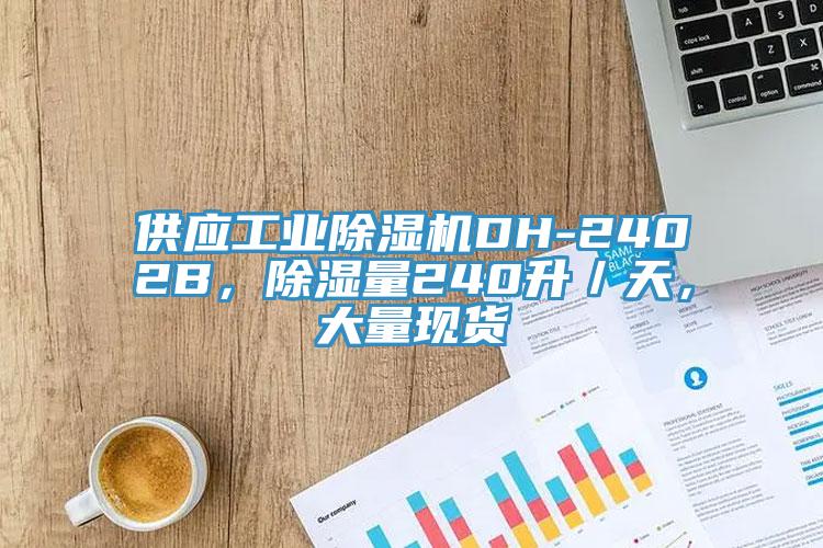供應(yīng)工業(yè)除濕機(jī)DH-2402B，除濕量240升／天，大量現(xiàn)貨