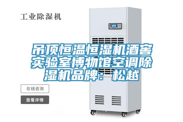 吊頂恒溫恒濕機(jī)酒窖實驗室博物館空調(diào)除濕機(jī)品牌：松越
