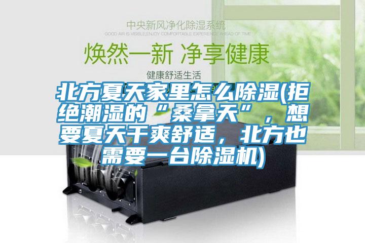 北方夏天家里怎么除濕(拒絕潮濕的“桑拿天”，想要夏天干爽舒適，北方也需要一臺(tái)除濕機(jī))