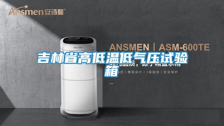 吉林省高低溫低氣壓試驗(yàn)箱